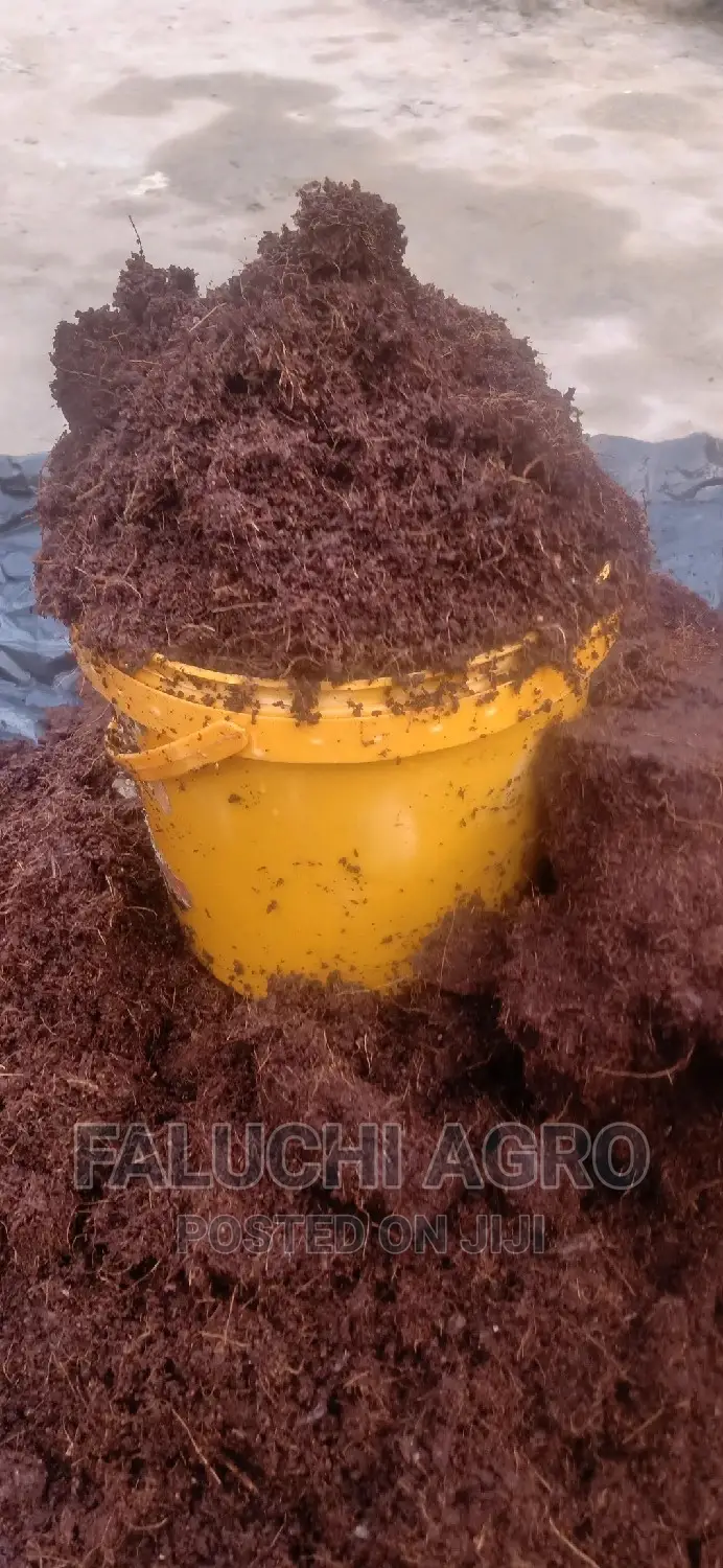 Dissolved Washed and Buffered Coco Peat ( Custard Paint )