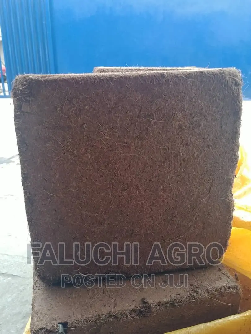 Dissolved Washed and Buffered Coco Peat ( Custard Paint )