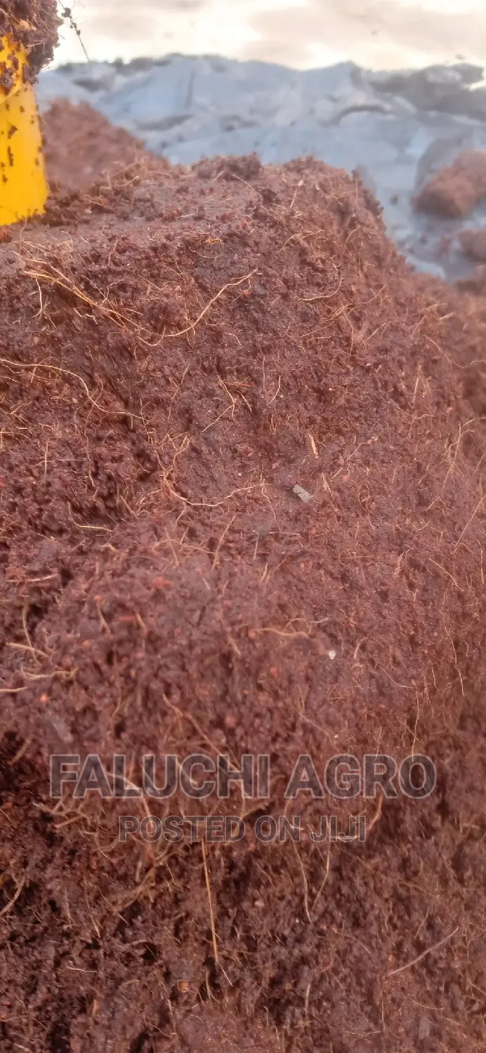 Dissolved Washed and Buffered Coco Peat ( Custard Paint )