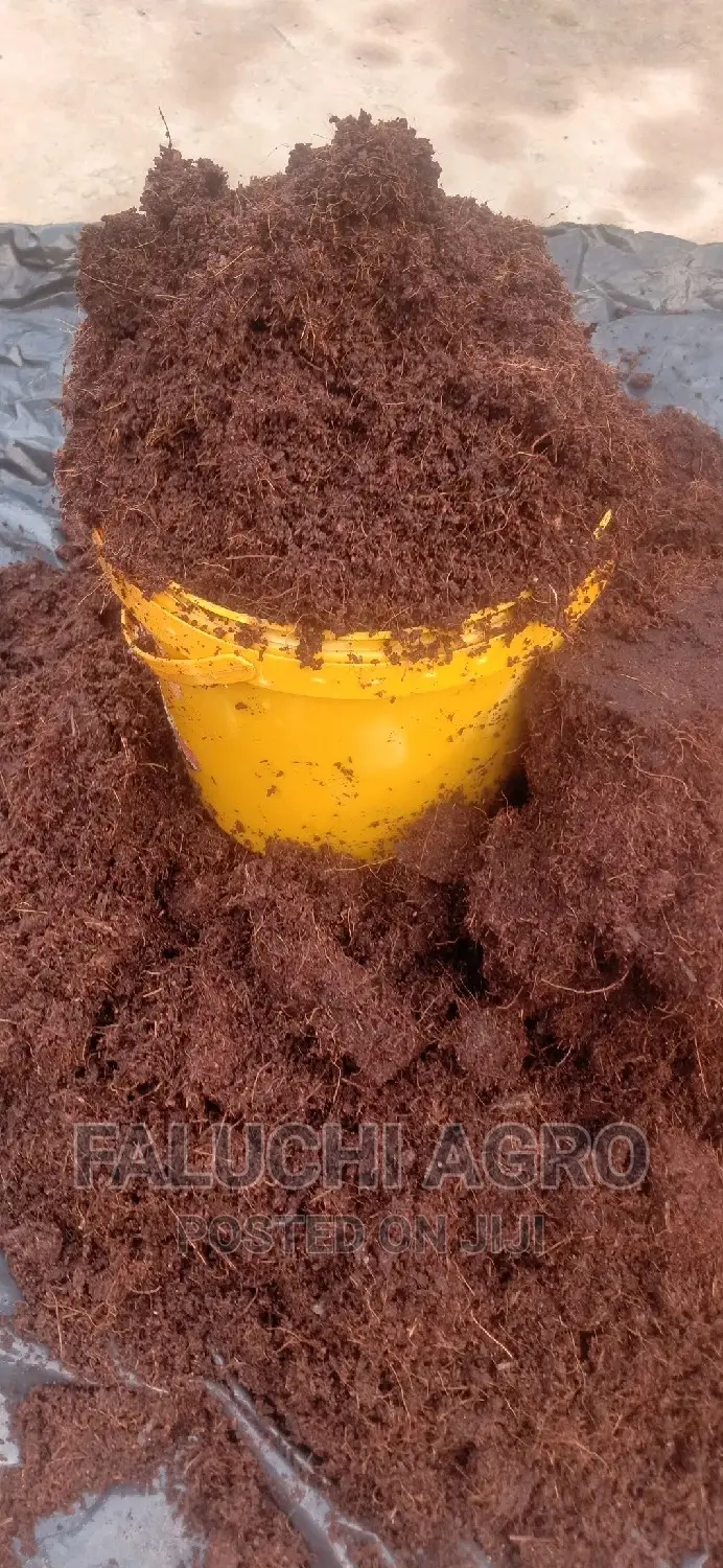 Dissolved Washed and Buffered Coco Peat ( Custard Paint )