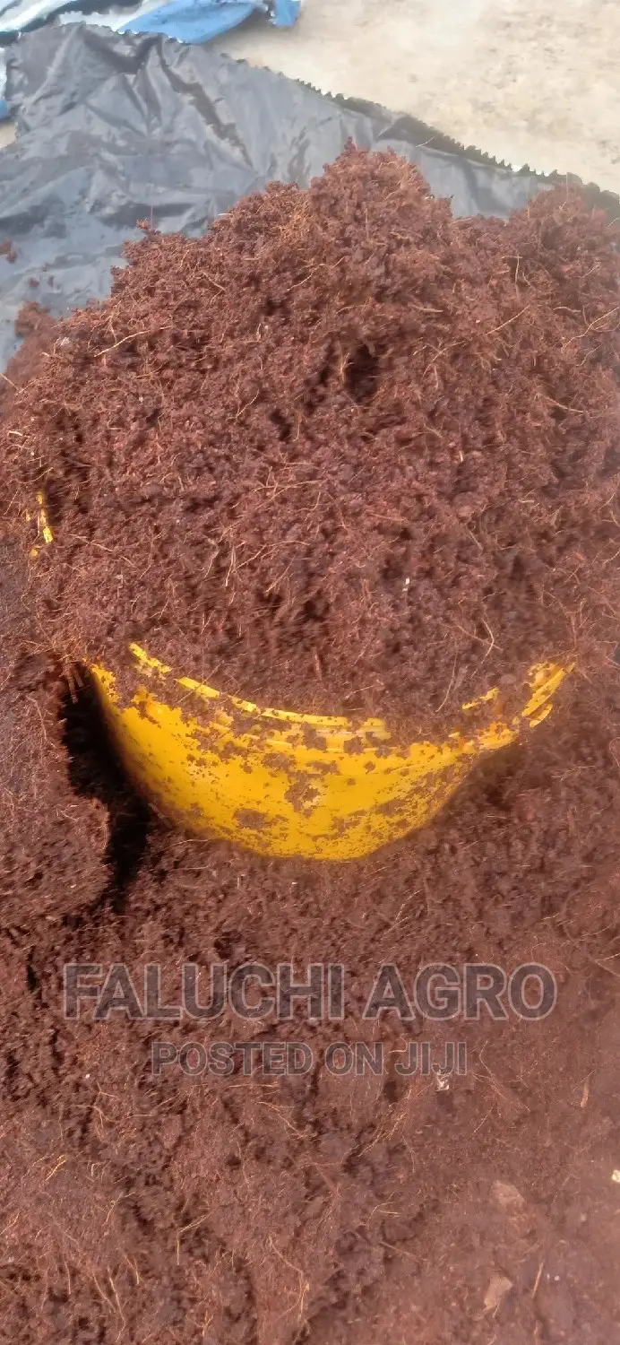 Dissolved Washed and Buffered Coco Peat ( Custard Paint )