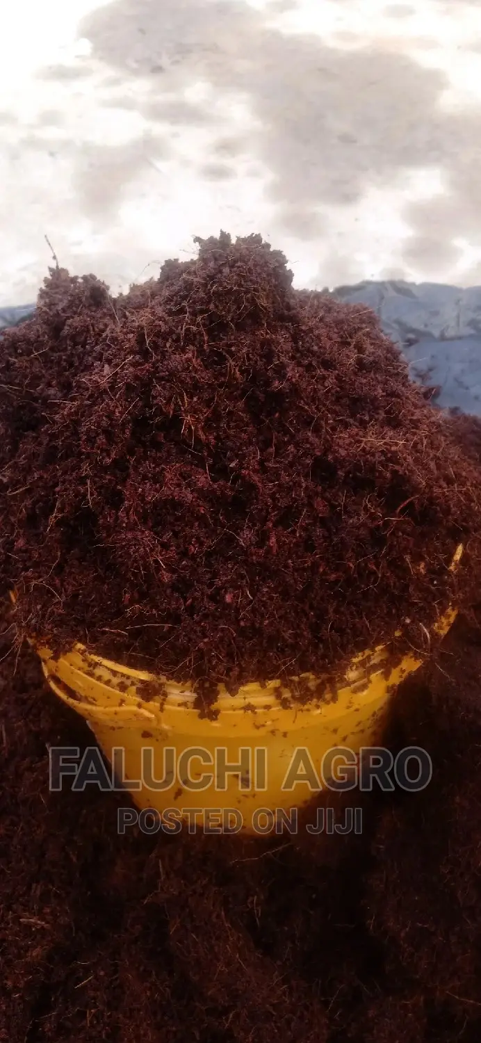 Dissolved Washed and Buffered Coco Peat ( Custard Paint )