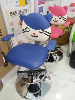 Salon Chair