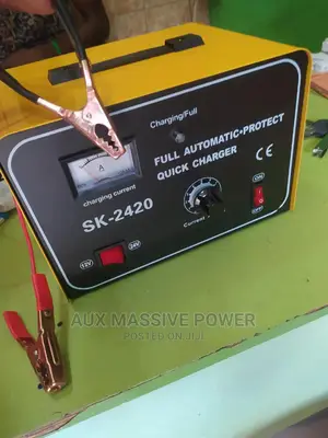 30ah Automatic Battery Charger