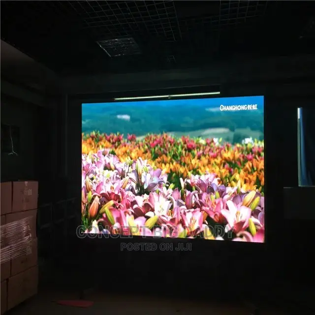 Indoor LED Screens