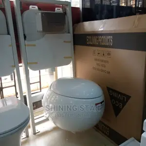 Egg Shaped Wall Hung Toilet Set