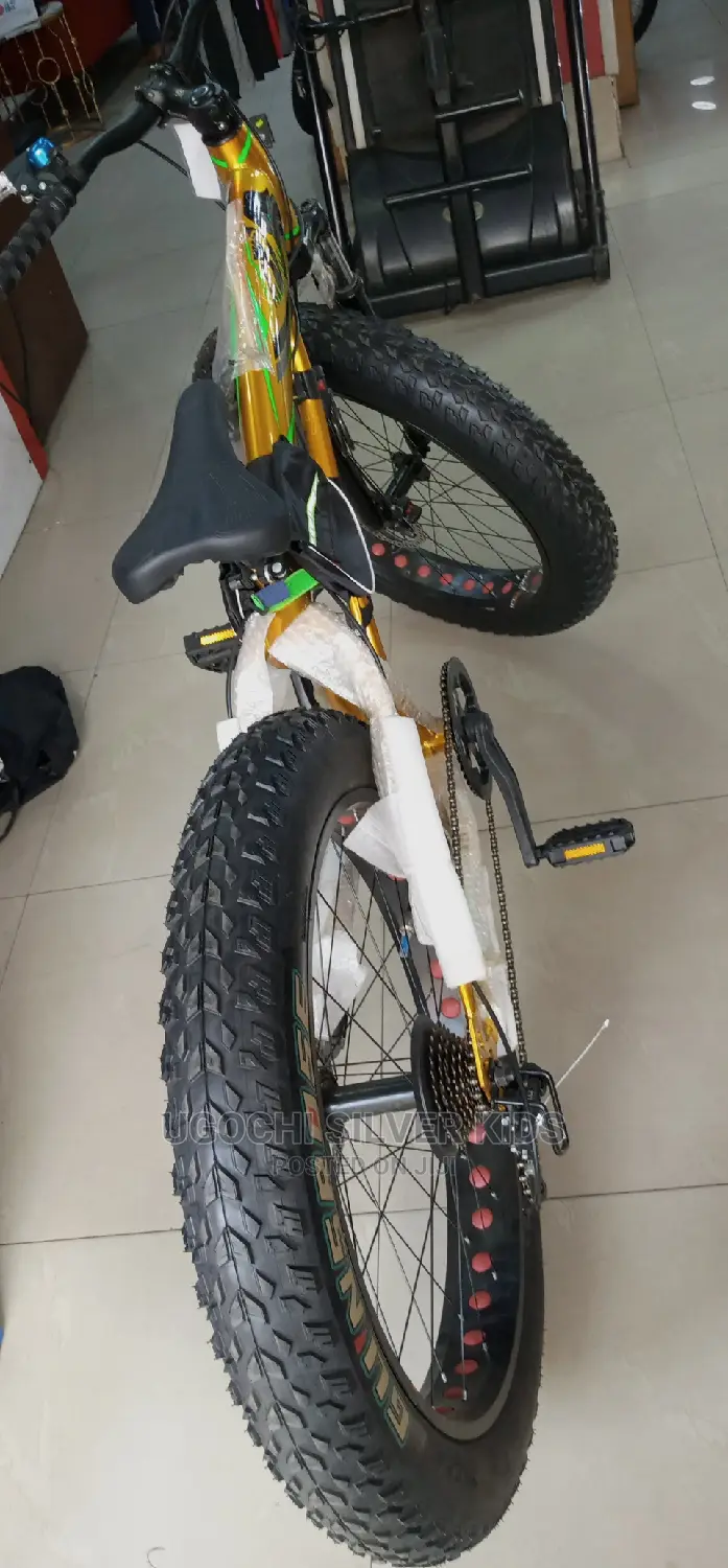 Big Tire Bicycle With Gier