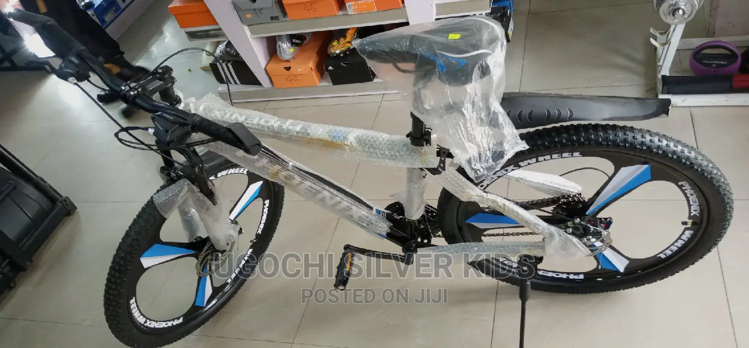 Adult Bicycle Is Available