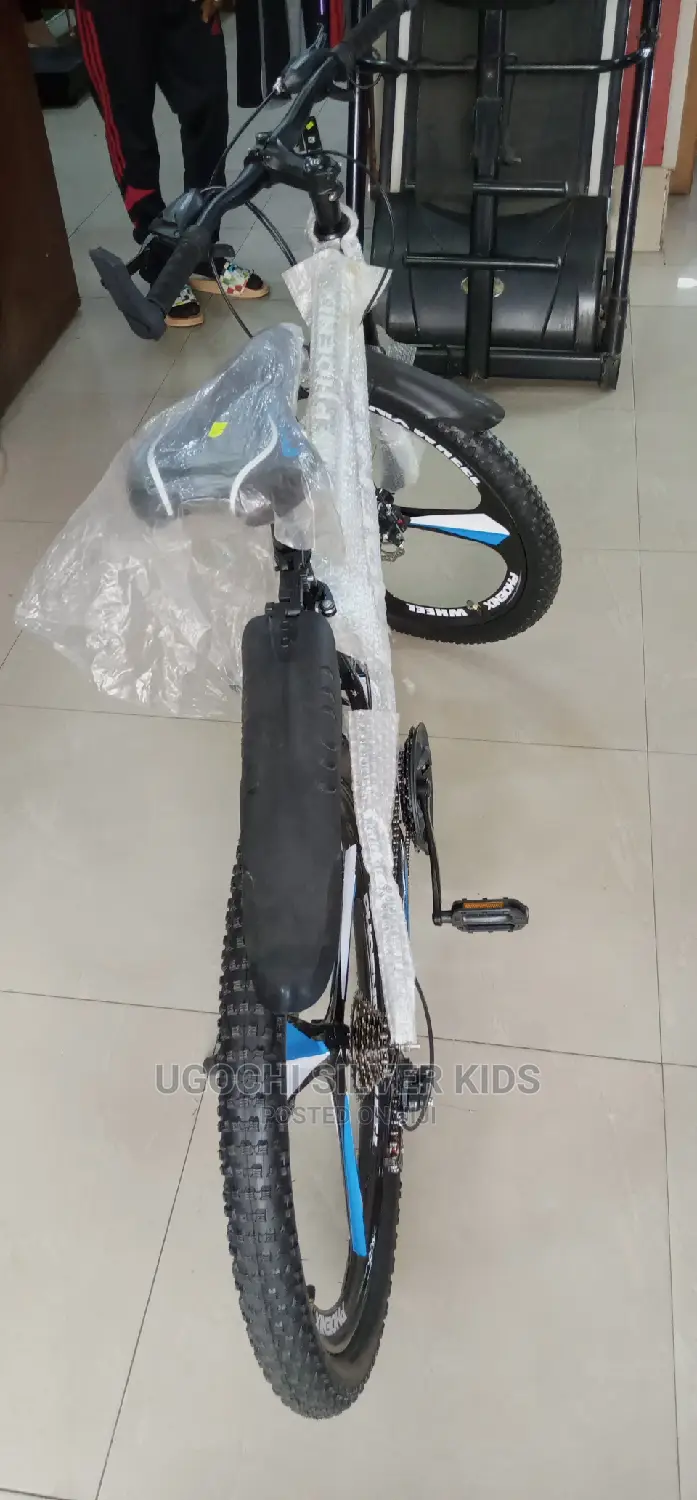 Adult Bicycle Is Available
