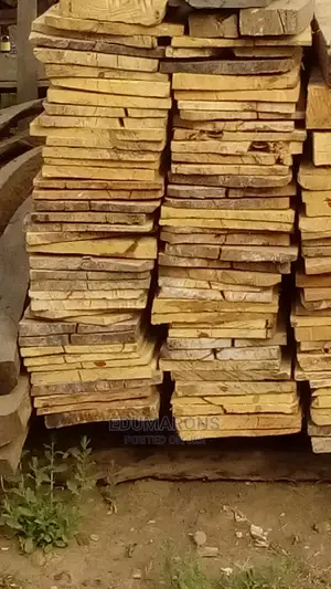 Wood Planck and Timbers