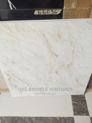 60/60 Floor Royal Polished Tile
