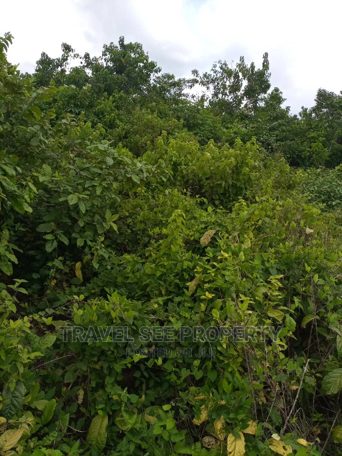 Gazetted Land's Swaps With Vehicle