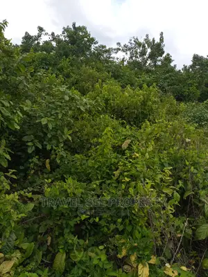 Gazetted Land's Swaps With Vehicle
