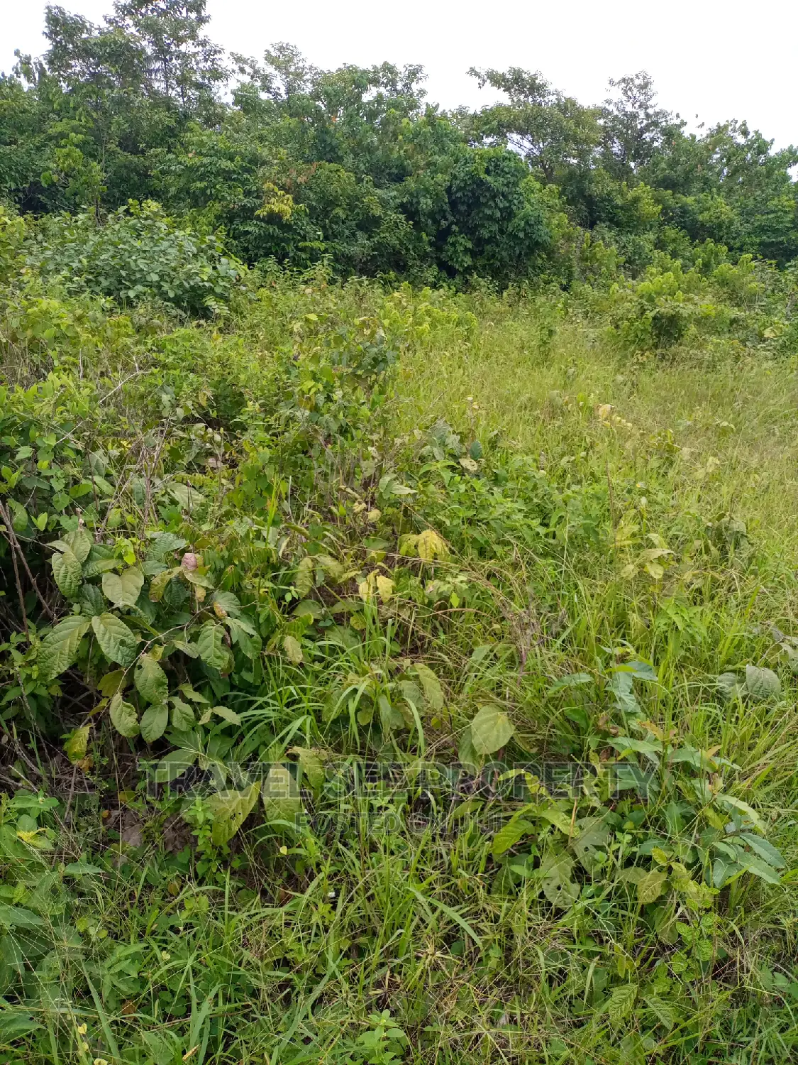 Gazetted Land's Swaps With Vehicle
