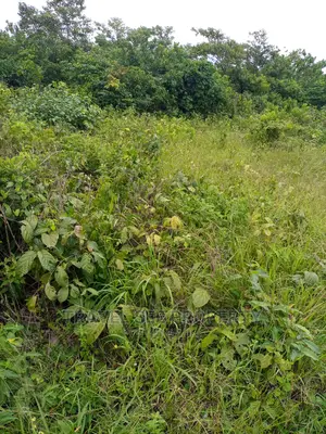 Gazetted Land's Swaps With Vehicle