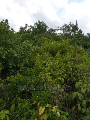 Gazetted Land's Swaps With Vehicle