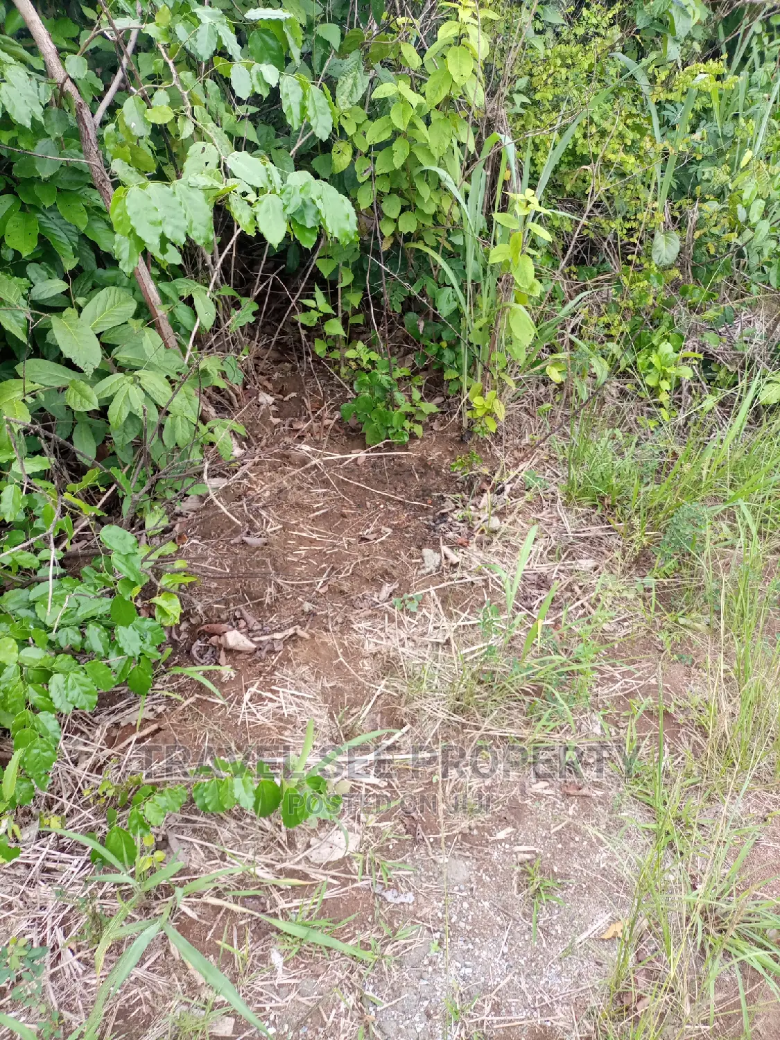 Gazetted Land's Swaps With Vehicle