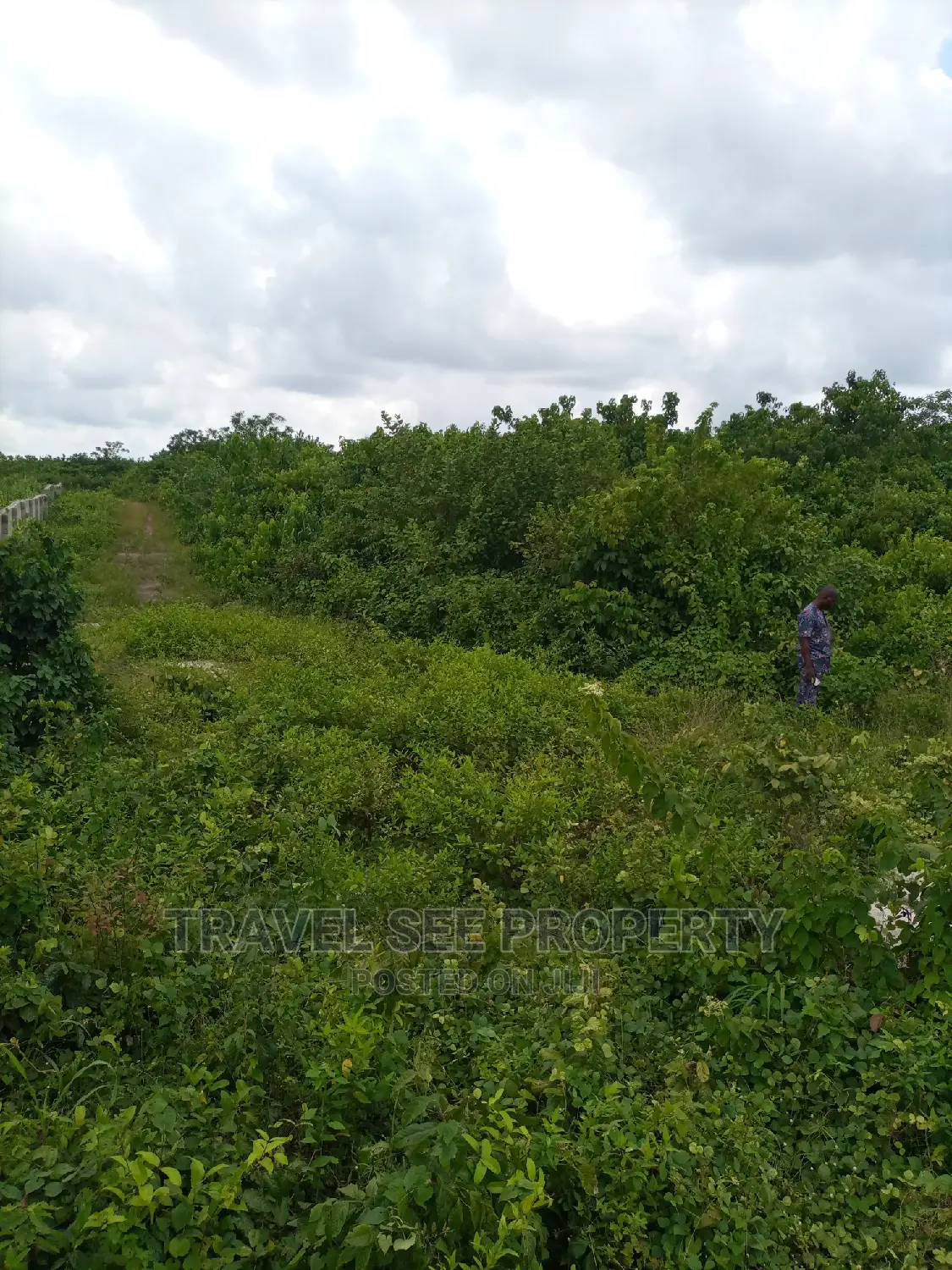 Gazetted Land's Swaps With Vehicle