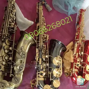 The Best Quality Alto Saxophone for Professionals