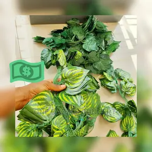 Ivy Vines (Big Petals)