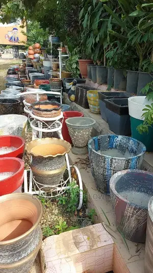 Quality Flowers Pots and Live Plants
