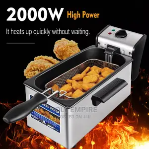 Electric Deep Fryer 3l French Frie Frying Machine Oven Hot