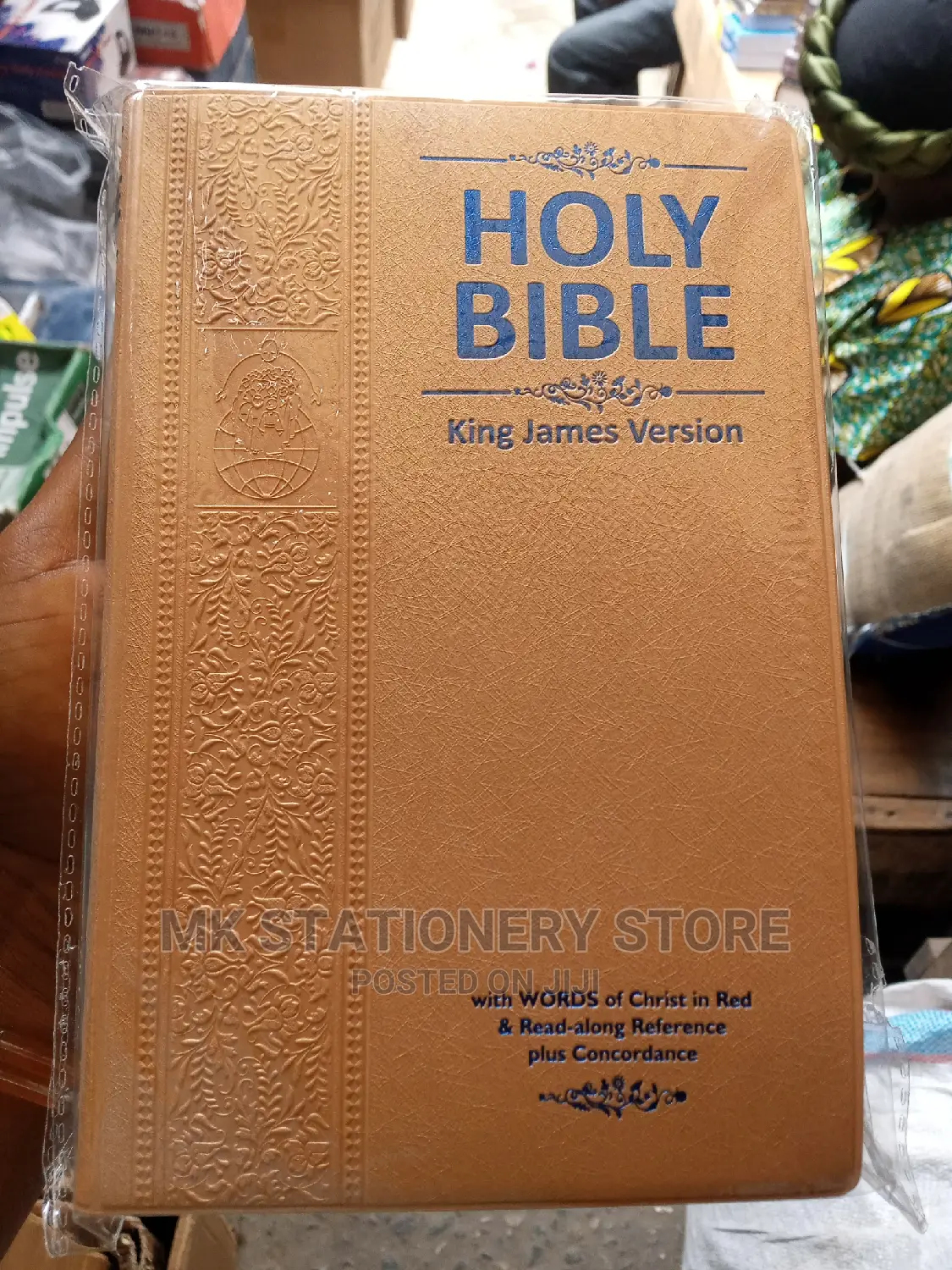 Holy Bible English Version