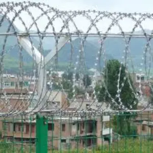 Concertina Razor Fencing Wire