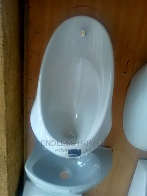 Original Urinal Bowl