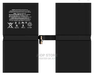 Original iPad Pro Battery