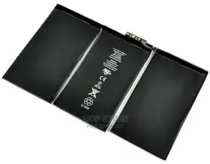 iPad 2 Battery.