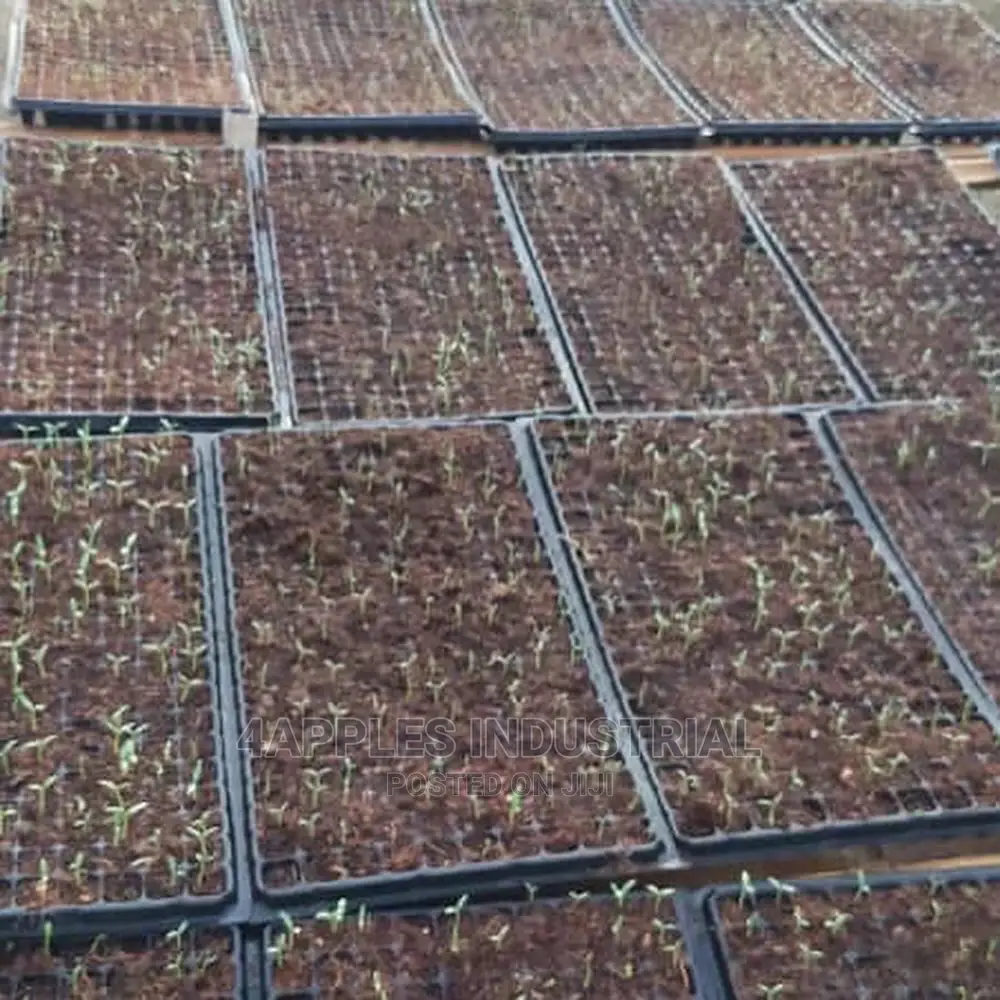 Coco Coir (Coir Pith or Cocopeat) 5kgs Bag