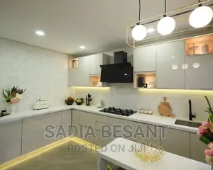Contemporary Kitchen Cabinet