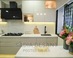 Contemporary Kitchen Cabinet