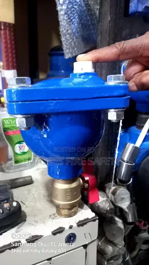 2 " Air Release Valve