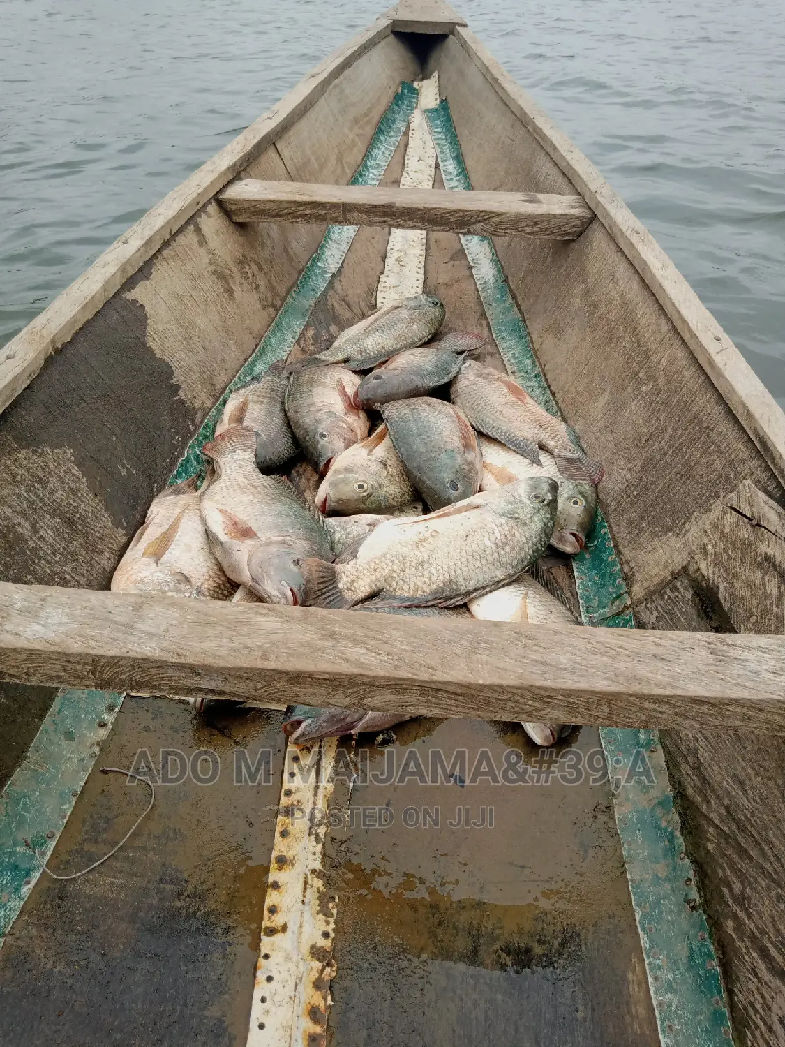 River Tilapia & Seafood