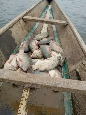 River Tilapia & Seafood