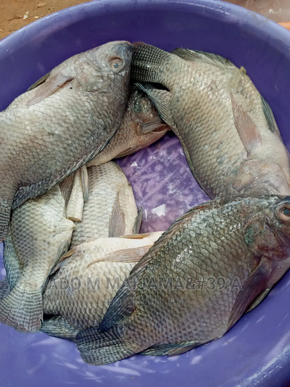 River Tilapia & Seafood