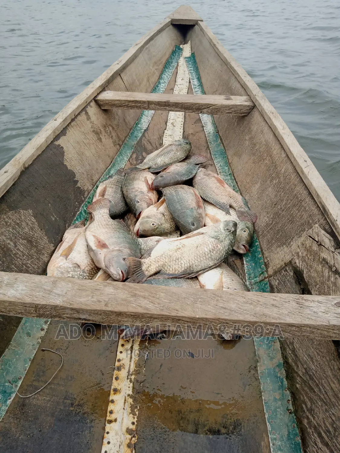 River Tilapia & Seafood