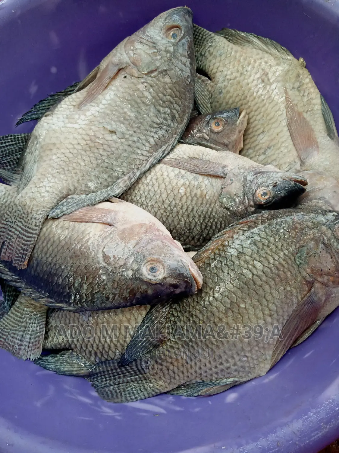 River Tilapia & Seafood