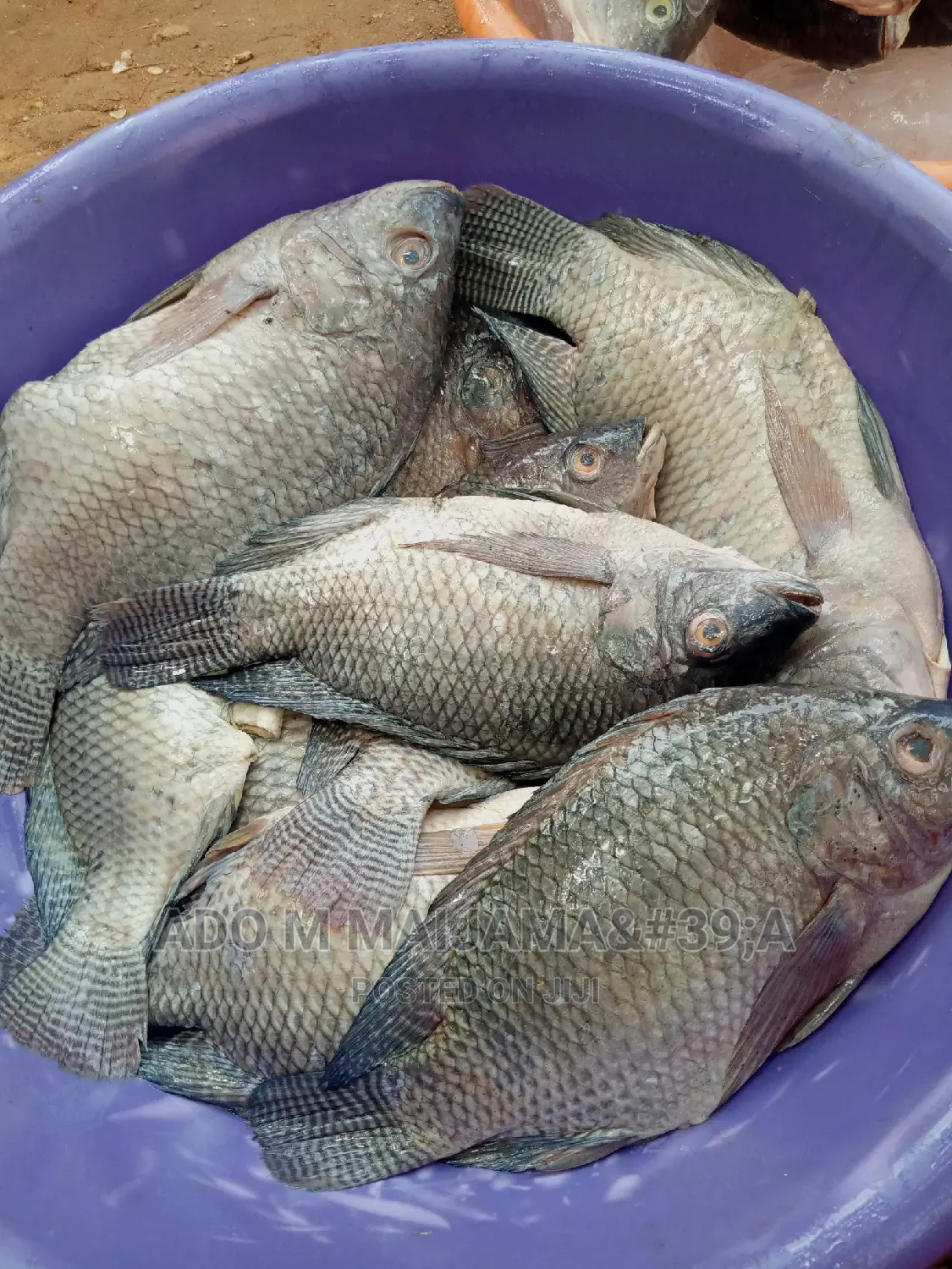 River Tilapia & Seafood