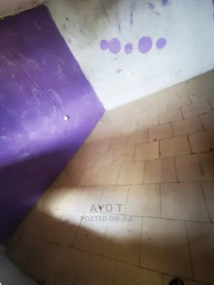 Studio Apartment in Ilaje, Bariga / Shomolu for rent