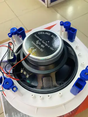 Dart 40watts Pop Ceiling Loud Speaker.