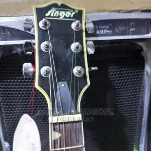 Singer Professional Electric Jazz Guitar