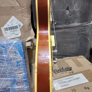 Singer Professional Electric Jazz Guitar