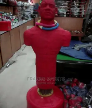 Punching Dummy