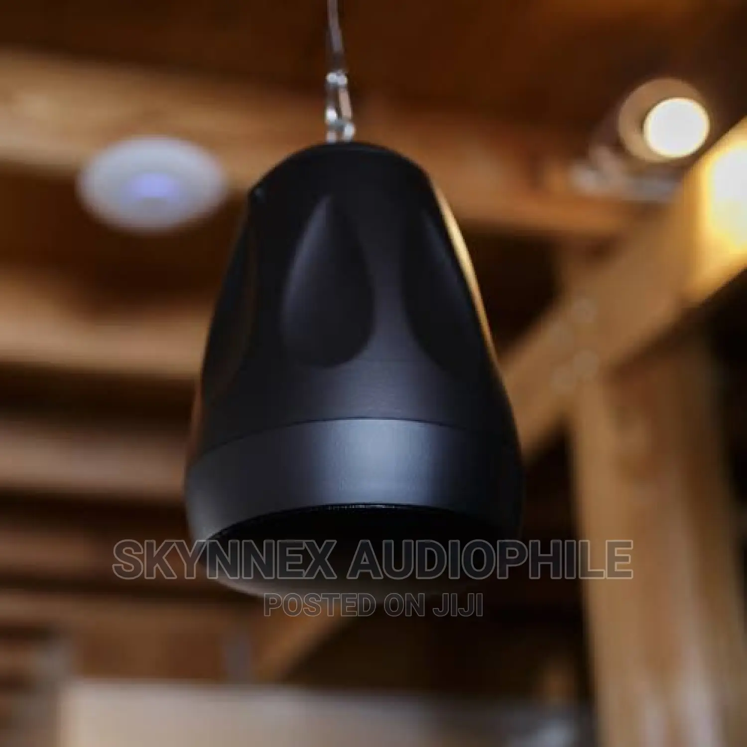 Pendant Speaker