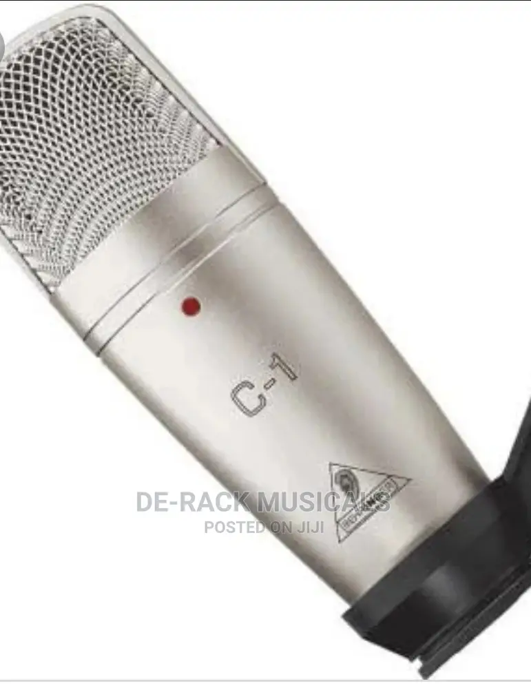 C-1 Studio Condenser Microphone
