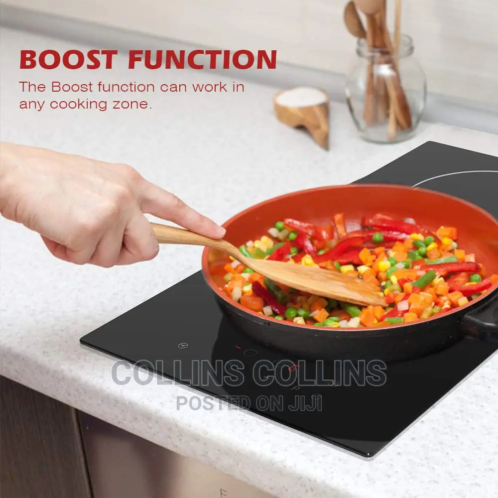 2 Burner Induction Hob