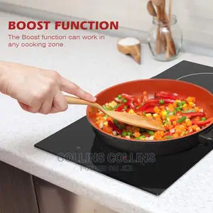 2 Burner Induction Hob